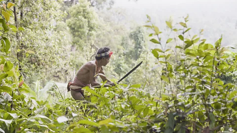 Joel Redman/If Not Us Then Who? For years, indigenous groups like Indonesia's Mentawai have urged the world to adopt a more sustainable way of coexisting with nature (Credit: Joel Redman/If Not Us Then Who?)