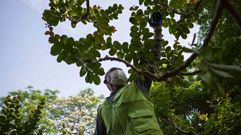 Chinese residents are finally able to get out about after a long period of quarantine (STR/AFP via Getty Images)