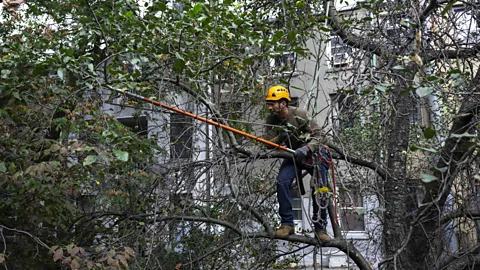 Getty Images Choosing the right tree includes being realistic about its life-expectancy and maintenance requirements (Credit: Getty Images)