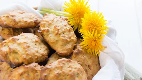 megatronservizi/Getty Images Yellow dandelion flower cookies can be sweetened with vanilla extract and honey (Credit: megatronservizi/Getty Images)