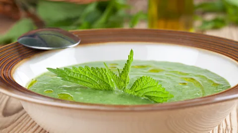 IngridHS/Getty Images Stinging nettle soup is a quintessentially English dish (Credit: IngridHS/Getty Images)
