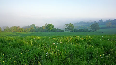 Peter Llewellyn/Getty Images The English countryside is a prime location for a culinary adventure (Credit: Peter Llewellyn/Getty Images)