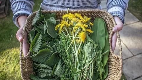 Jessica Vincent Author Jessica Vincent: "It would take a global pandemic... for me to dust off my foraging basket" (Credit: Jessica Vincent)
