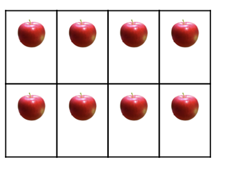 There are 2 rows of apples and 4 apples in each row.