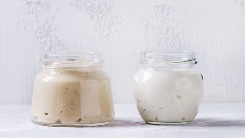 Bread Starters