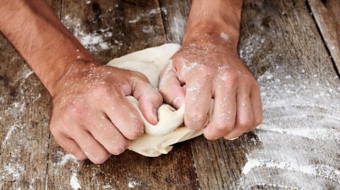 Kneading dough