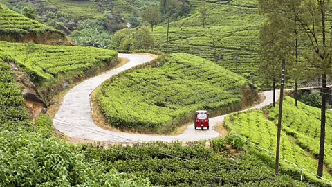proxyminder/Getty Images Growing up, a "music bread" tuk tuk would drive to the author's rural village in Sri Lanka twice a day, always playing Beethoven as it went (Credit: proxyminder/Getty Images)