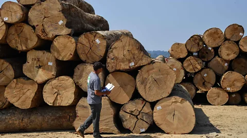 Getty Images Rising reports of logging in the Amazon in lockdown is thought to have been fuelled by a lack of ability to enforce restrictions during the pandemic (Credit: Getty Images)