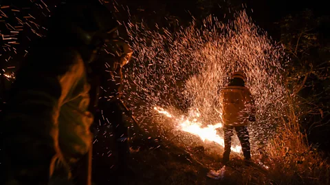 Getty Images In Colombia, clearing forested regions leads to more hot spots where forest fires are highly likely to follow (Credit: Getty Images)