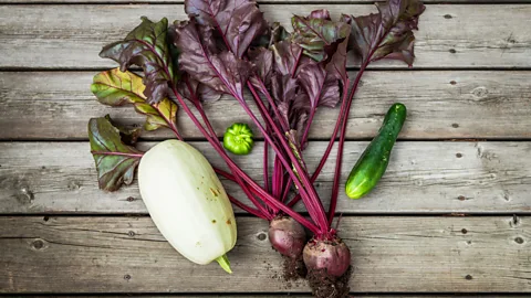 BlokPhoto/Getty Images According to the UK's Office for National Statistics, 42% of Britons have taken to gardening to cope with lockdown (Credit: BlokPhoto/Getty Images)