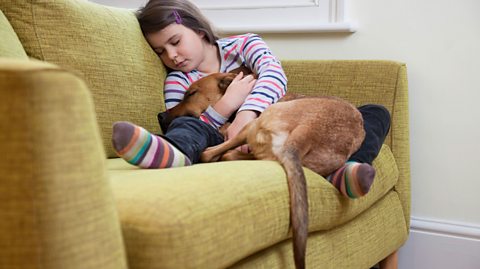 A girl lying on a sofa with a dog