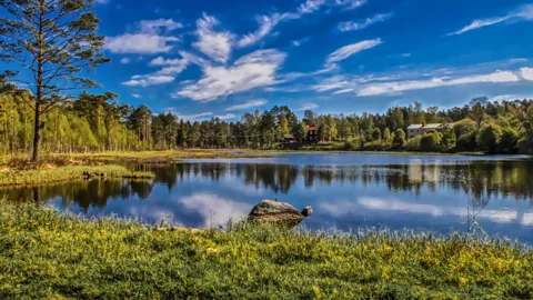 Margit Kluthke/Getty Images The restaurant is located in Värmland, a scenic part of Sweden with forests and thousands of lakes (Credit: Margit Kluthke/Getty Images)
