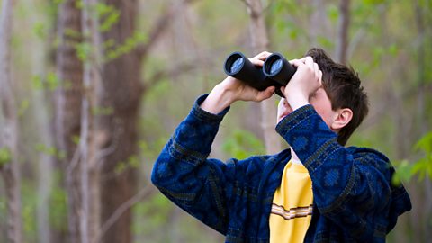 A boy out bird-spotting with binoculars