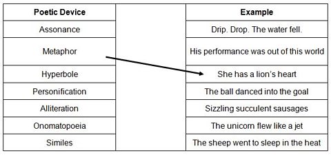 Poetic devices activity.