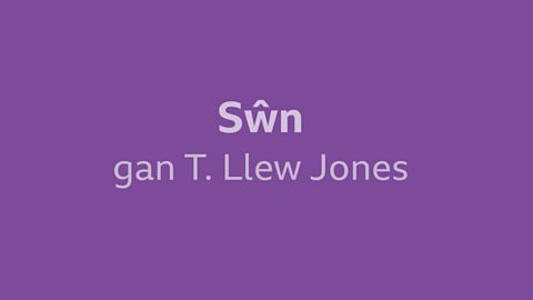 Gwerthfawrogi 'Sŵn' gan T Llew Jones