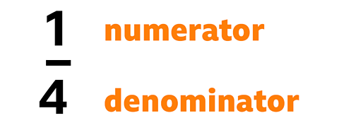 Quarter showing numerator and denominator