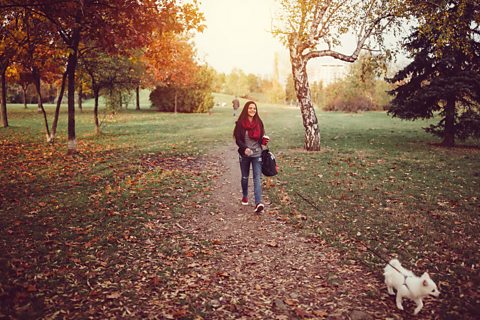 Girl walking dog