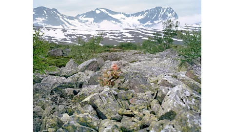 Karoline Hjorth and Riitta Ikonen Eyes as Big as Plates # Morten (Norway 2017) (Credit: Karoline Hjorth and Riitta Ikonen)