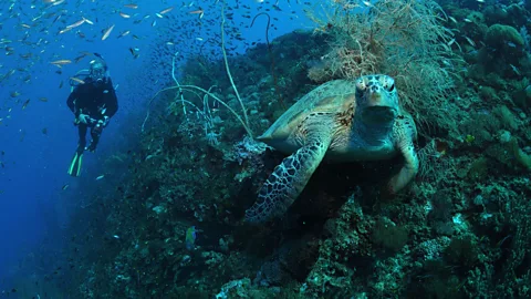 Lord Howe: Australia's most exclusive island?