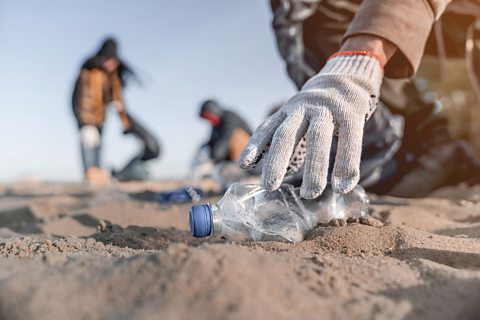 People cleaning a beach.