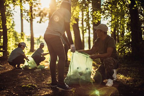 People tidying up a park.