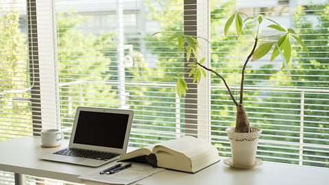 A desk in an airy, window-lit room with a potted plant on top of it