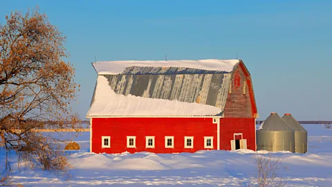 Alamy (Credit: Alamy)