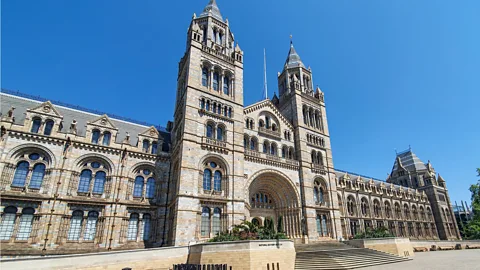 SOPA Images/Getty Images Artefacts from the voyage are held by museums across the UK, US and Ireland, including London’s Natural History Museum (Credit: SOPA Images/Getty Images)