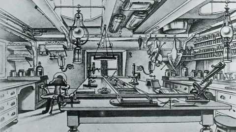 Science History Images/Alamy The ship had an on-board laboratory, where specimens were examined, identified, dissected and drawn (Credit: Science History Images/Alamy)