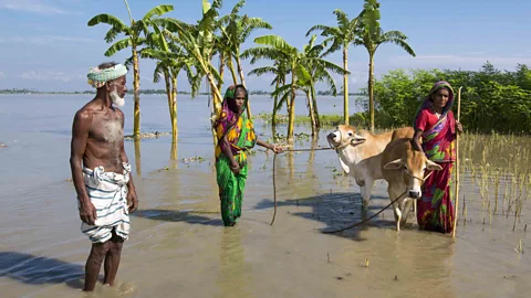 Getty Images As well as contributing less greenhouse gas emissions, many developing nations, such as Bangladesh, are more vulnerable to the effects of climate change (Credit: Getty Images)
