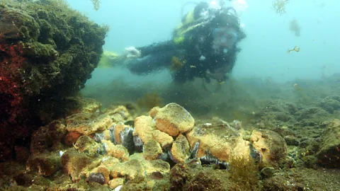 Pomona Pictures Volcanic vents made the water warm — and look almost oily (Credit: Pomona Pictures)