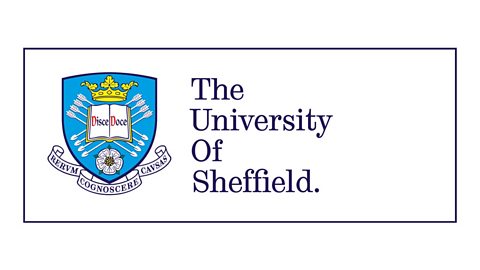 The University of Sheffield