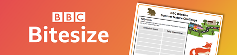 Bitesize Summer Nature Challenge worksheet