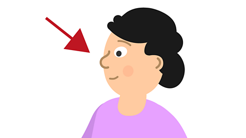 An arrow pointing at a girl's nose.