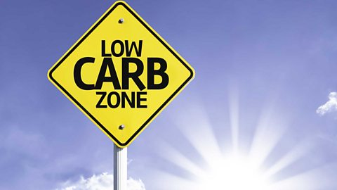 An illustration of a road sign which reads 'LOW CARB ZONE' 