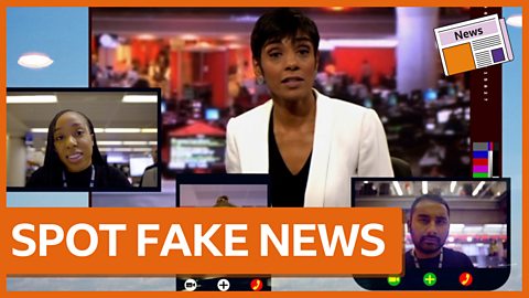 How to be impartial and separate facts from opinions - BBC Young Reporter