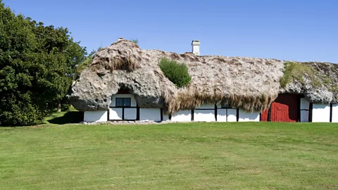 Torstengrieger/Getty Images A roof made of eelgrass can last for hundreds of years (Credit: Torstengrieger/Getty Images)