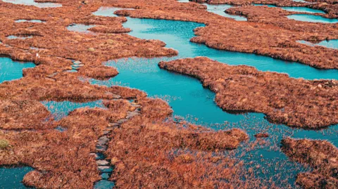 Lucentius/Getty Images Blanket bogs began forming in northern Scotland at the end of the last Ice Age (Credit: Lucentius/Getty Images)