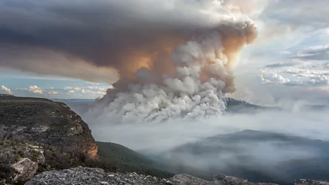 lovleah/Getty Images A deadly wildfire ripped through Australia's Blue Mountains in New South Wales last December (Credit: lovleah/Getty Images)