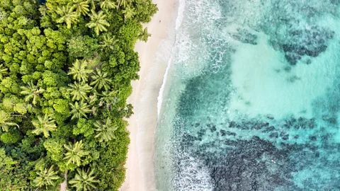 Getty Images A Seychelles beach as seen from the sky (Credit: Getty Images)