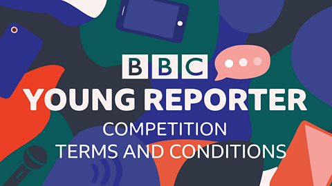 ý Young Reporter Competition: Terms and Conditions