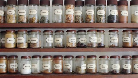 A comprehensive spice rack