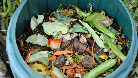 Compost bin with food and garden waste