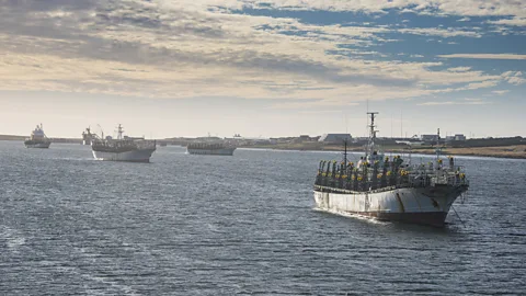 Westend61/Getty Images Ships from around the world come to the Falklands to trawl for squid, one of the archipelago's most important exports (Credit: Westend61/Getty Images)