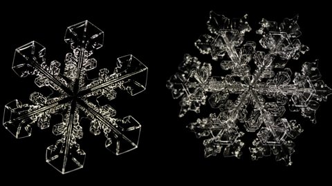 Two snowflakes viewed through a microscope. They both have six sides but different shapes.