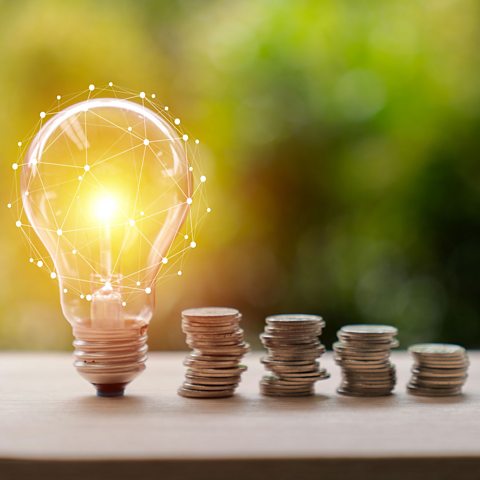 Stacks of coins and a 'bright idea' lightbulb. 