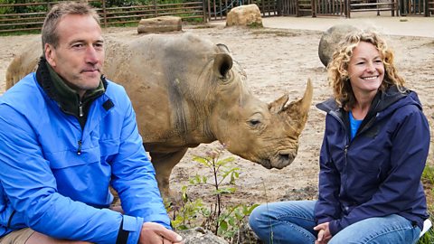BBC One - Animal Park, Summer 2020 - Episode guide