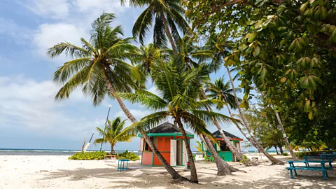 Alamy Beginning 24 July, Barbados implemented a Welcome Stamp plan to allow visitors to work from the Caribbean island for 12 months (Credit: Alamy)