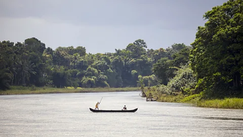 Chris Griffiths (Credit: Chris Griffiths)