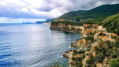 Atosan/Getty Images The Great Southern Reef stretches some 8,000km around Australia’s southern shores, including Tasmania’s rocky coastline (Credit: Atosan/Getty Images)
